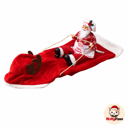 HollyPaws™ Santa Cat Costume