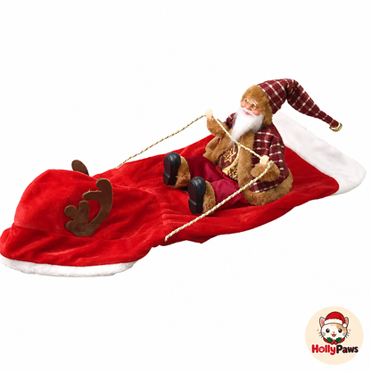 HollyPaws™ Santa Cat Costume